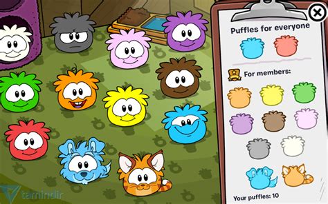 club penguin oyun.